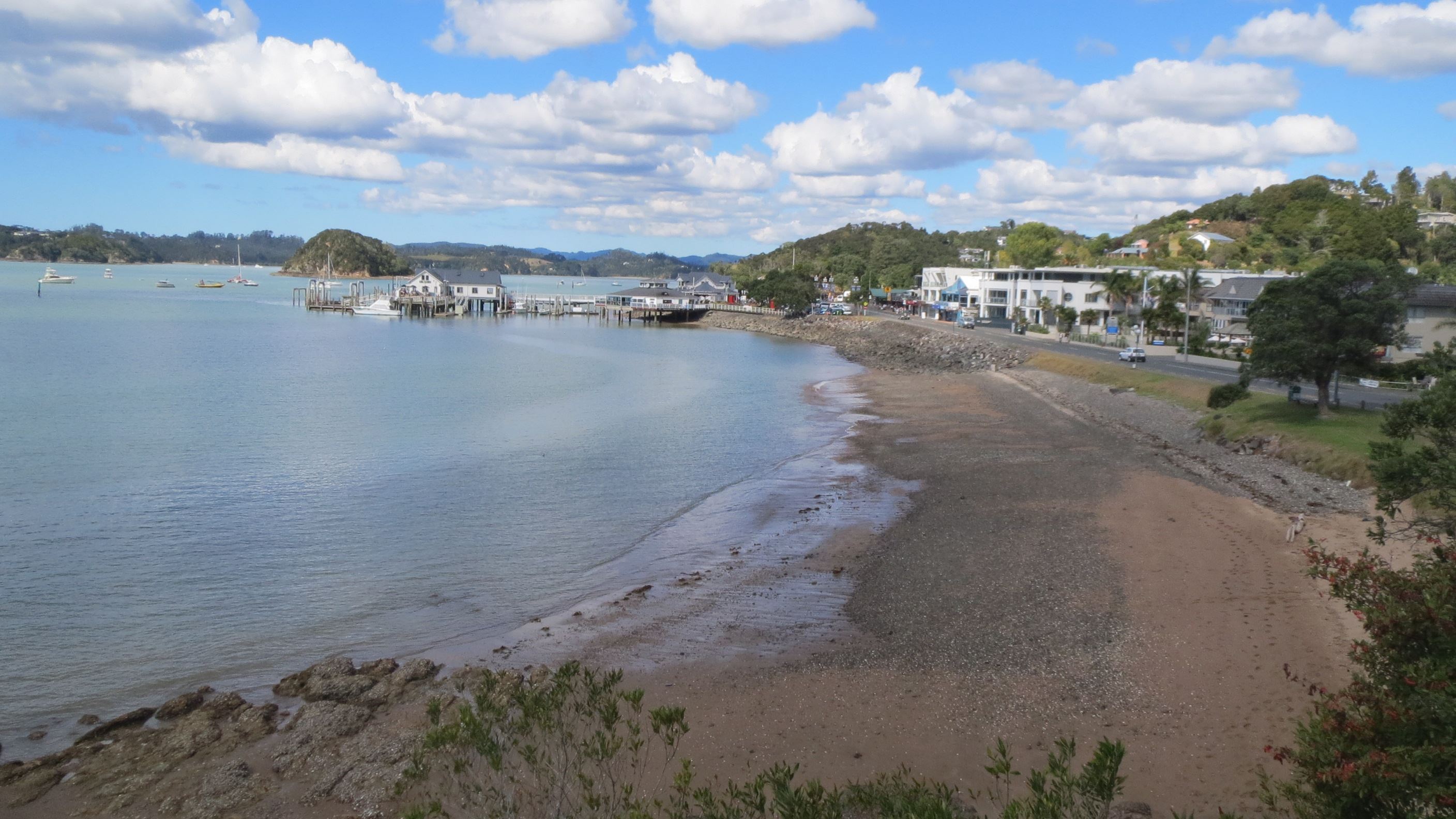 paihia half marathon