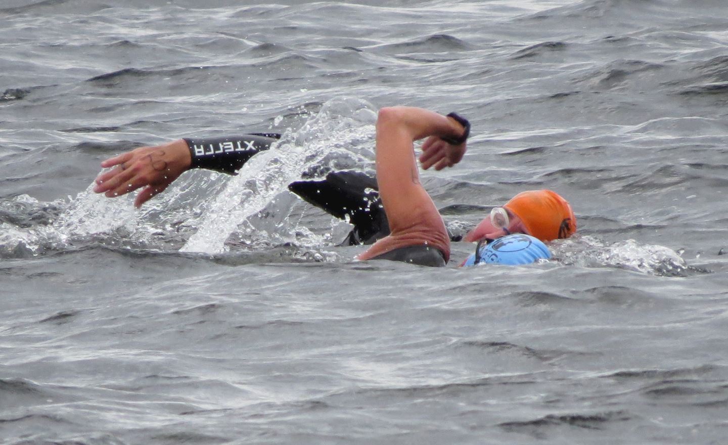 parry sound open water swim and swimrun challenge