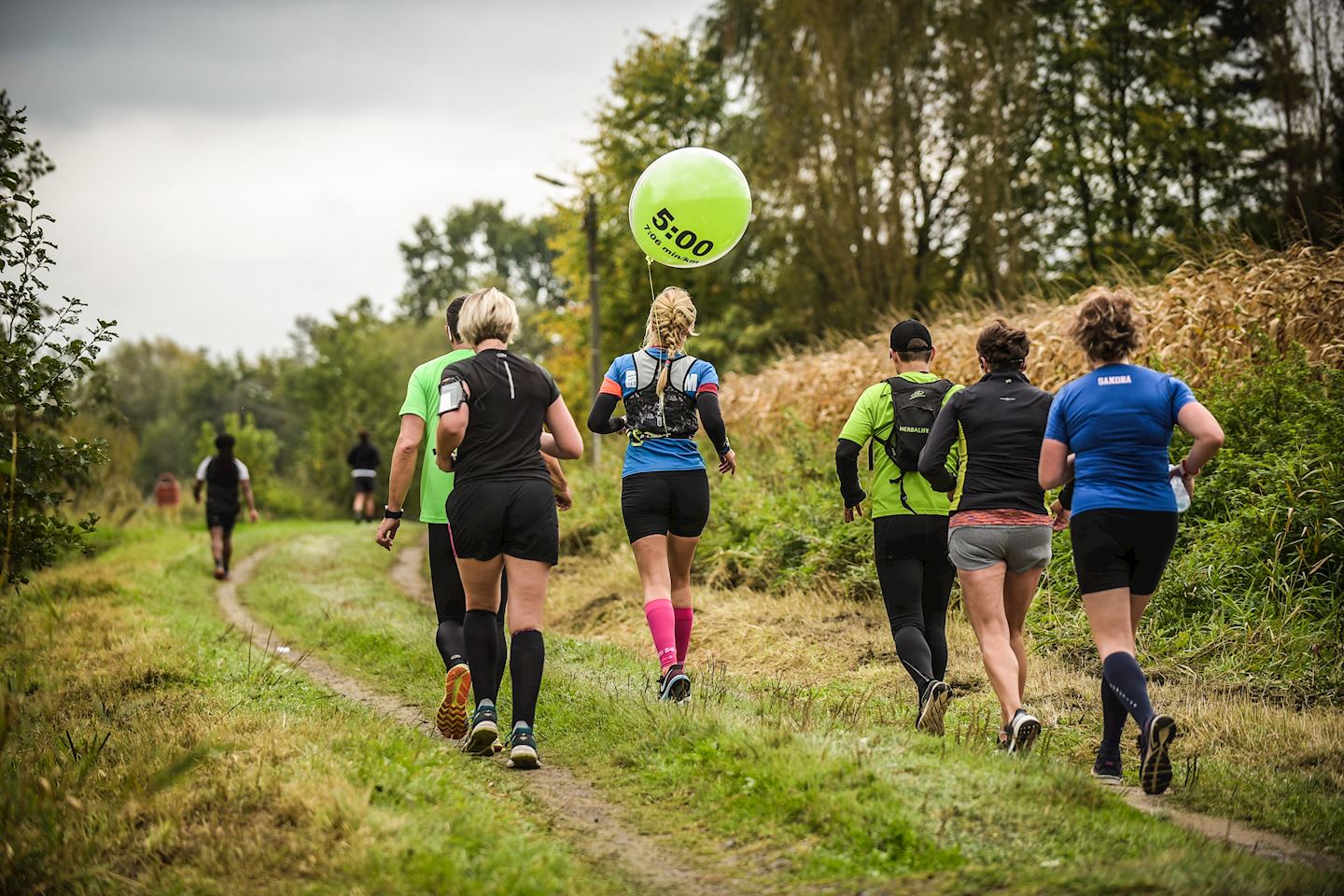 pauwels consulting ghent marathon