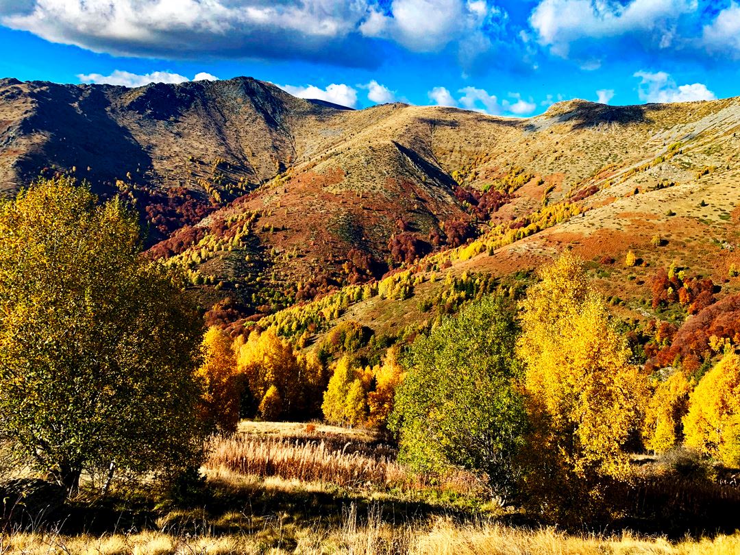 pelister unique trail marathon