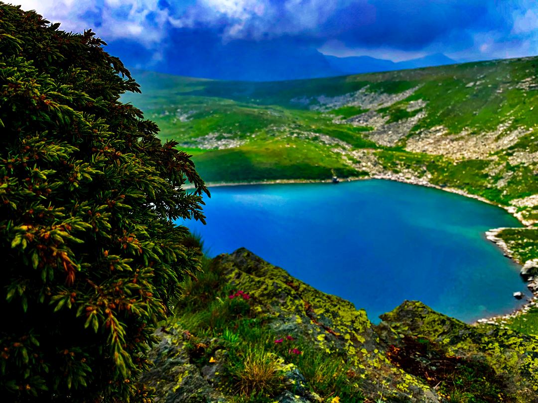 pelister unique trail marathon