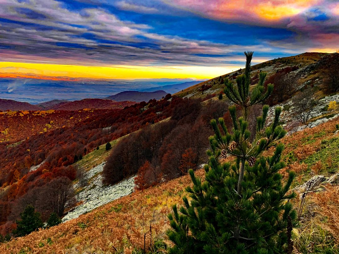 pelister unique trail marathon