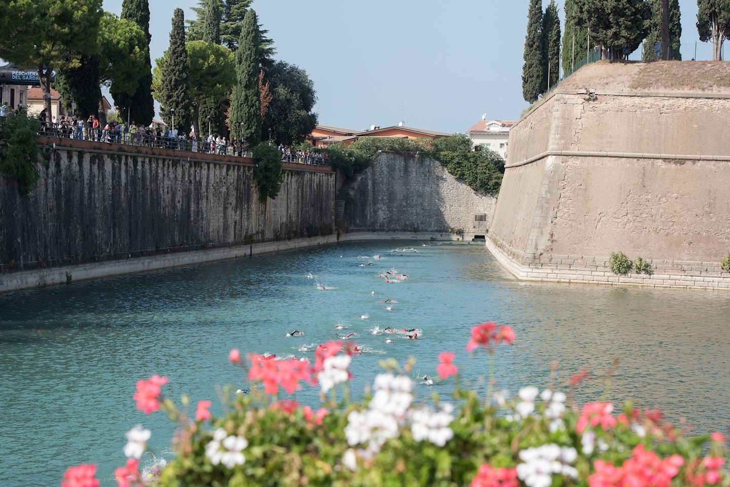 peschieratri