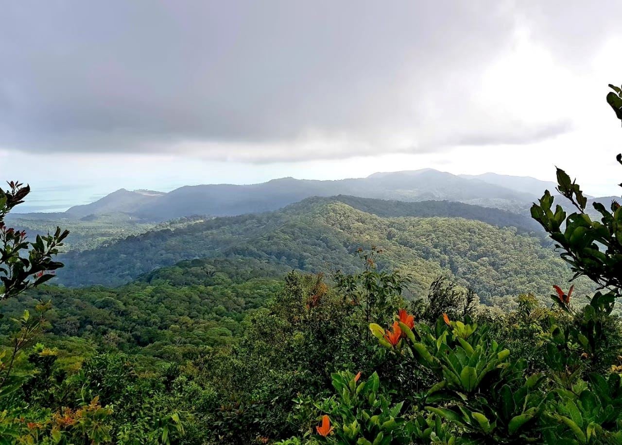 phangan trail