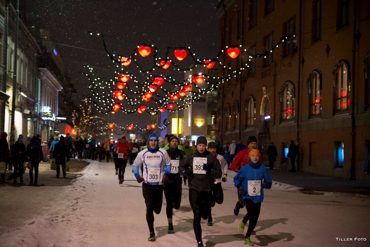 polar night half marathon