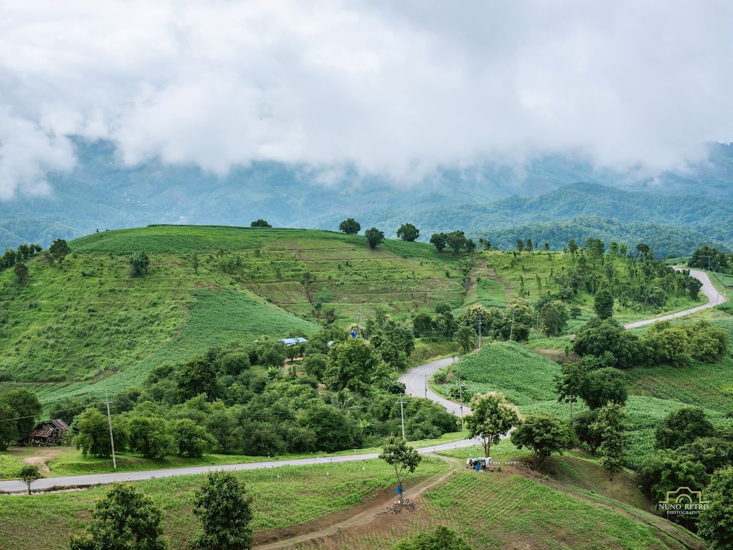 pu pa ya poh ultra road race