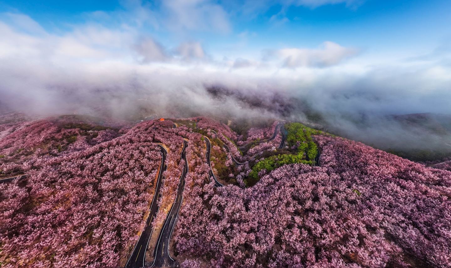 qingliu dafeng mountain trail