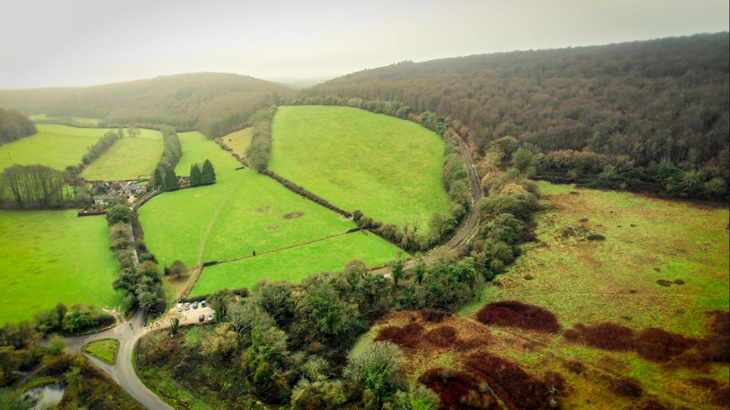 queen elizabeth country park trail run