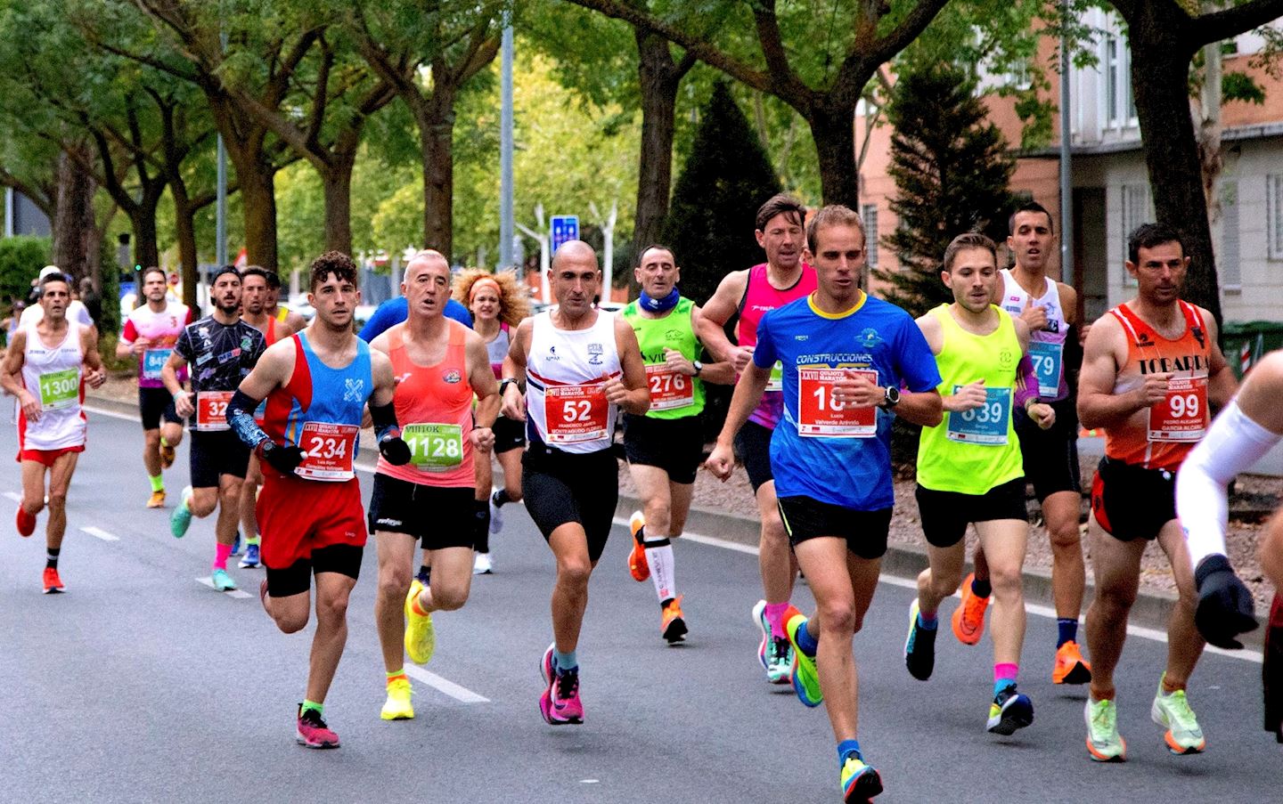 quijote maraton