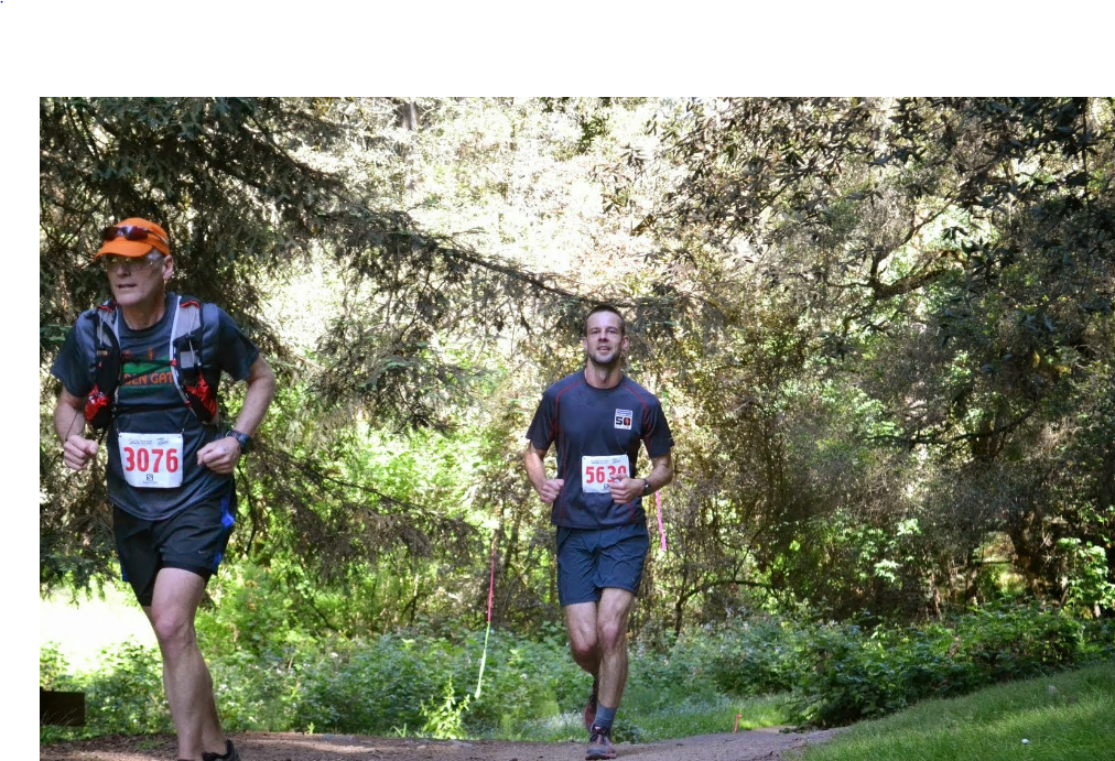 redwood trail run