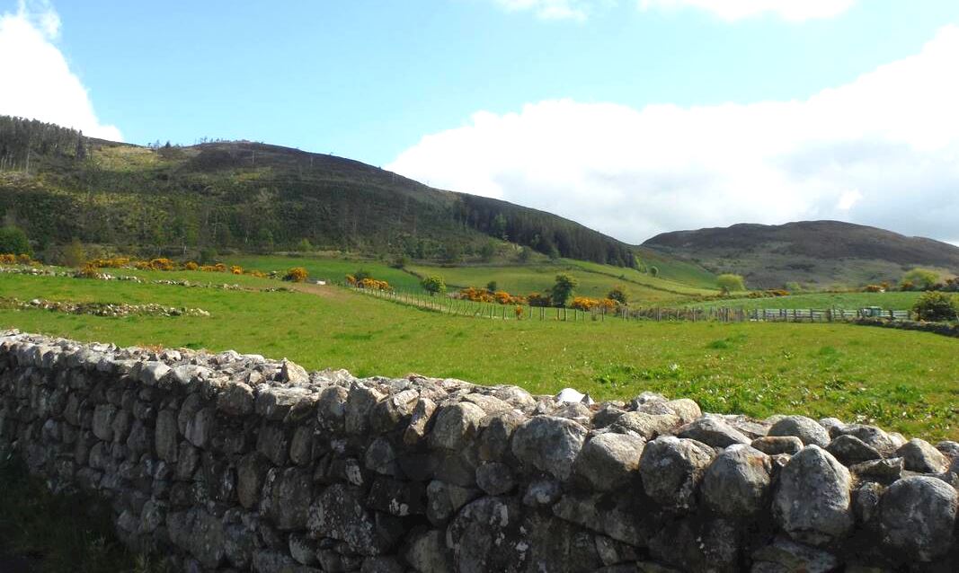 ring of gullion ultra