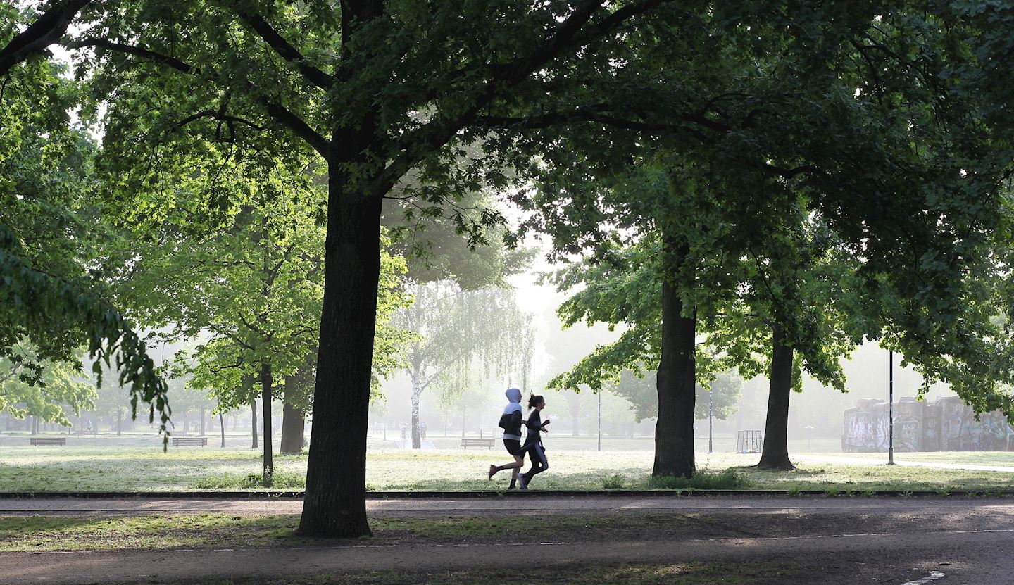 run roll inclusion charity virtual race