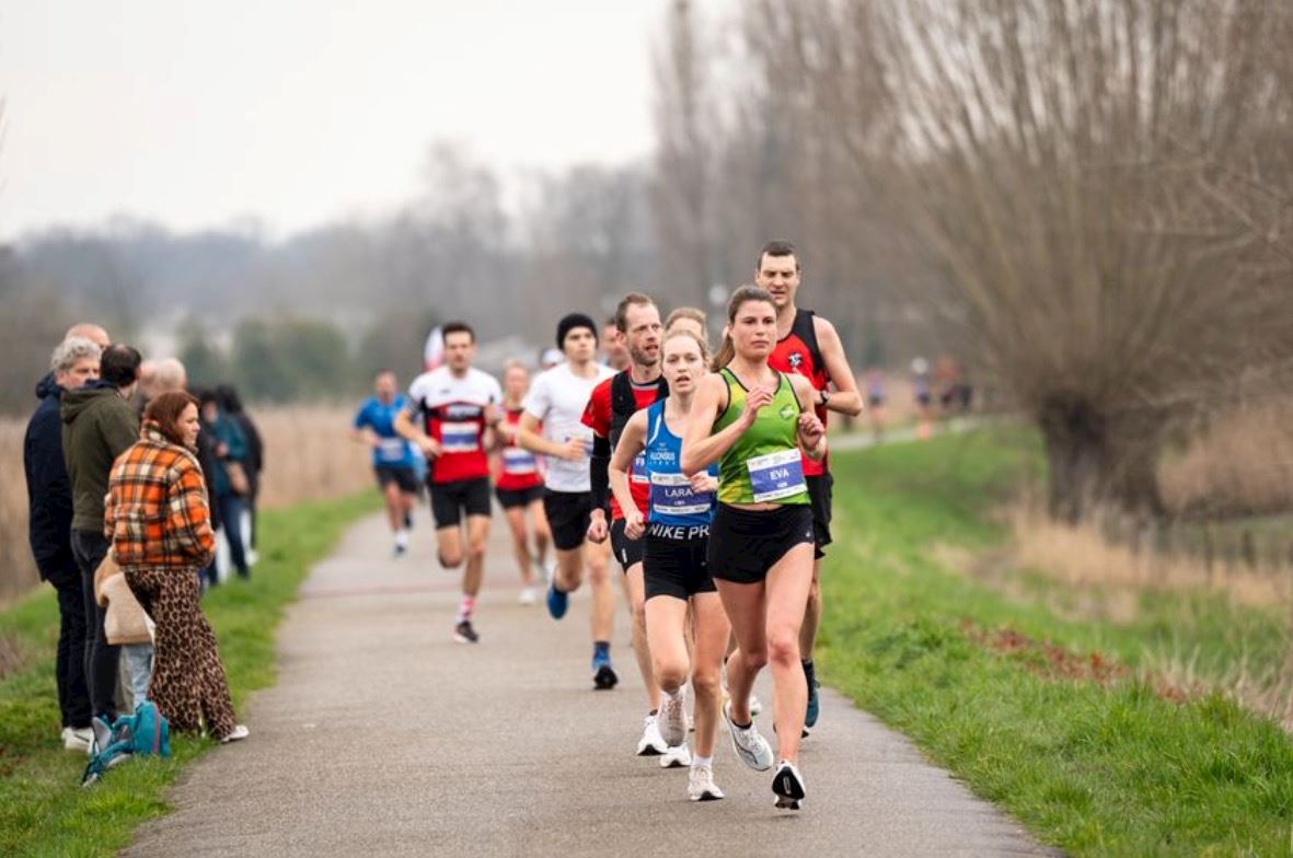 runners lab bashirs run