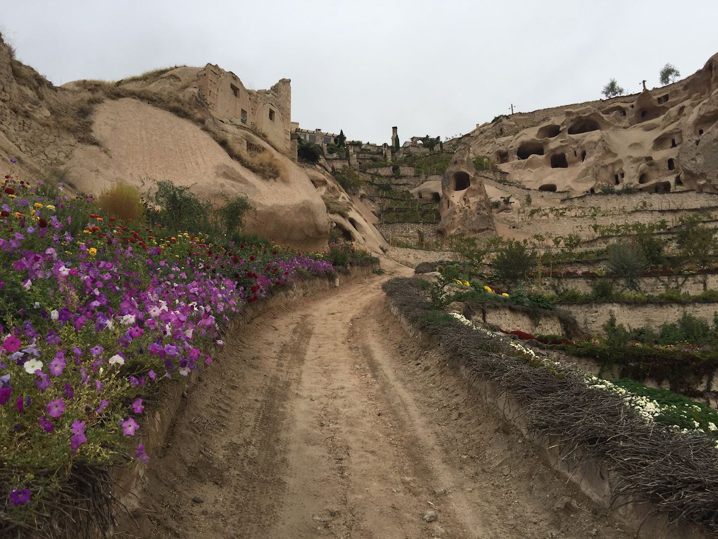 salomon cappadocia ultra trail