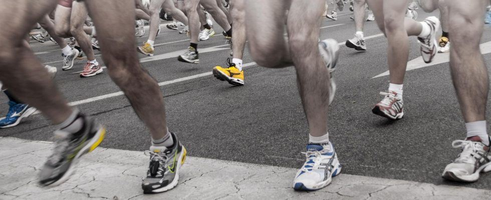 samui festival marathon trail