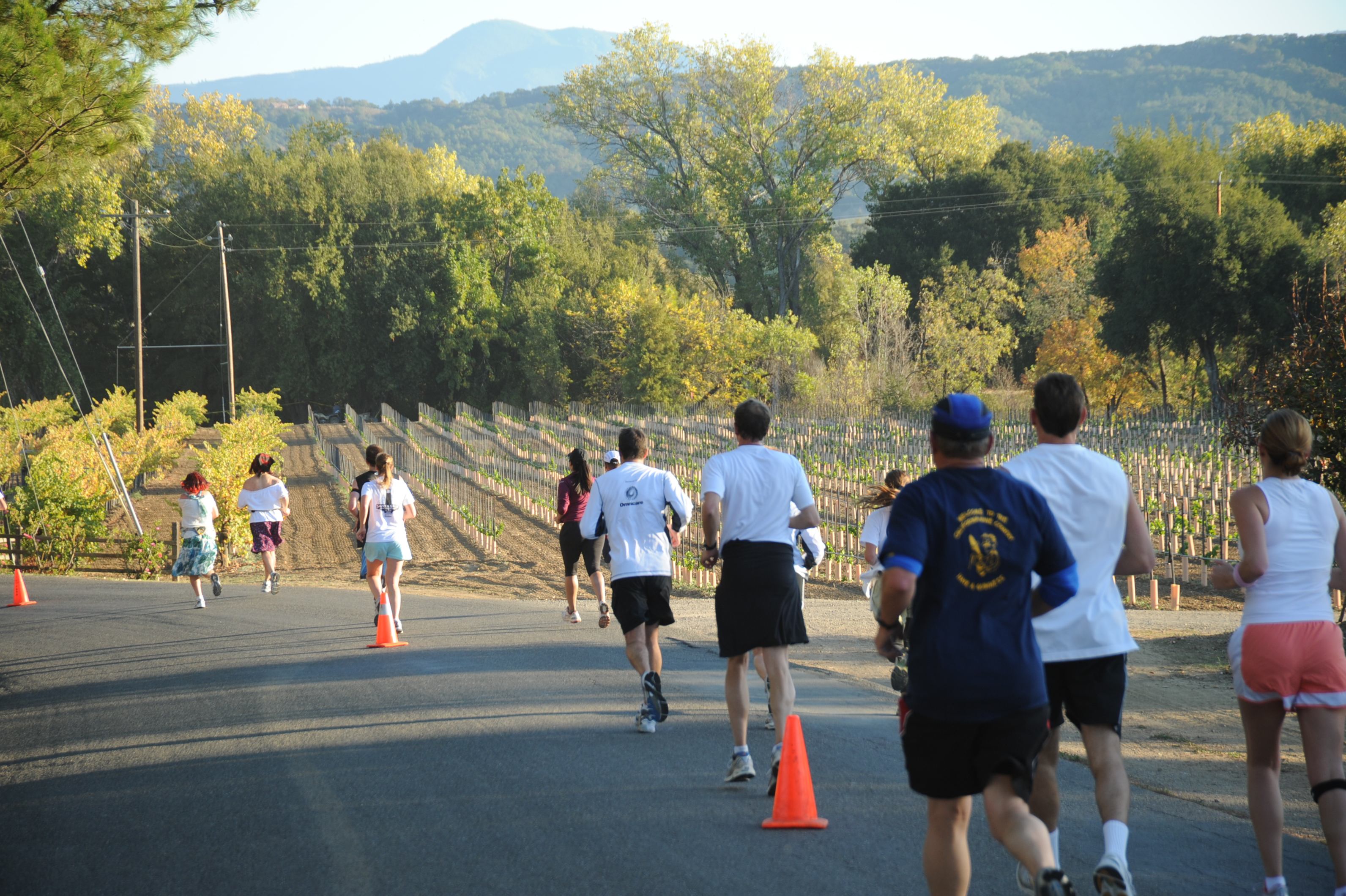 santa barbara wine country half marathon