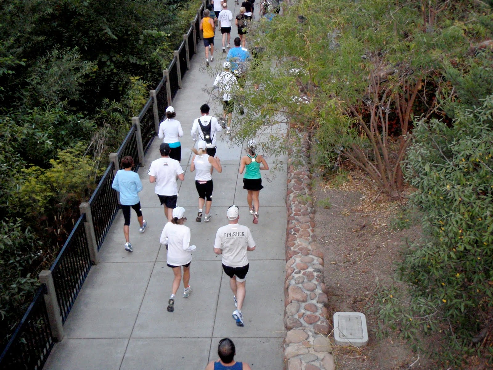 Santa Rosa Marathon 2025 Results Time