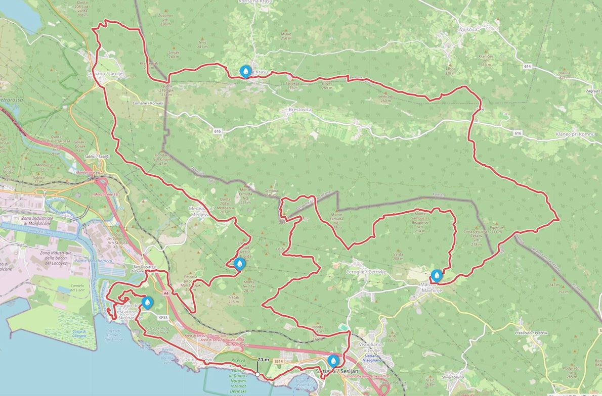 Sardon Run Route Map