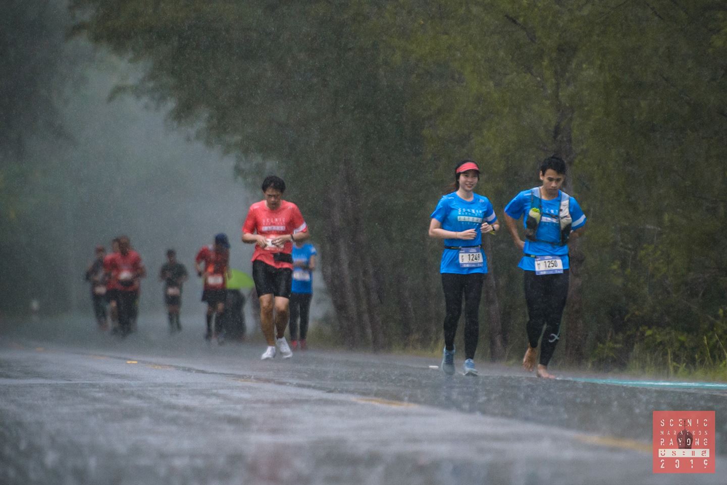 scenic half marathon rayong