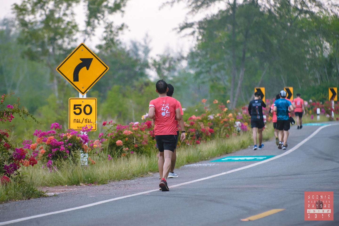 scenic half marathon rayong