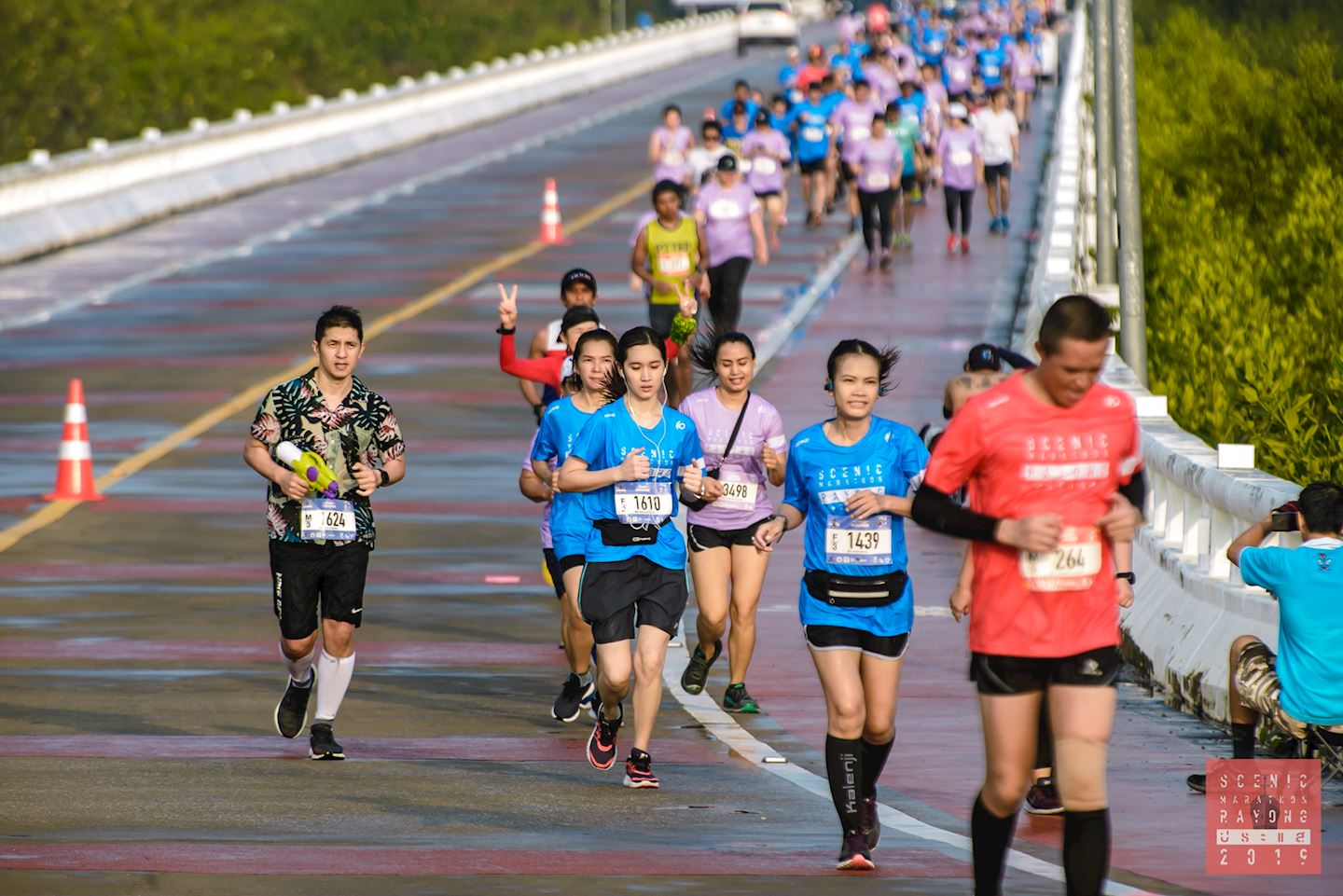 Scenic Half Marathon Rayong, 04 Aug 2024 World's Marathons