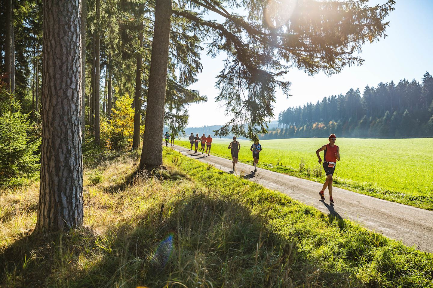 Schwarzwald moped marathon