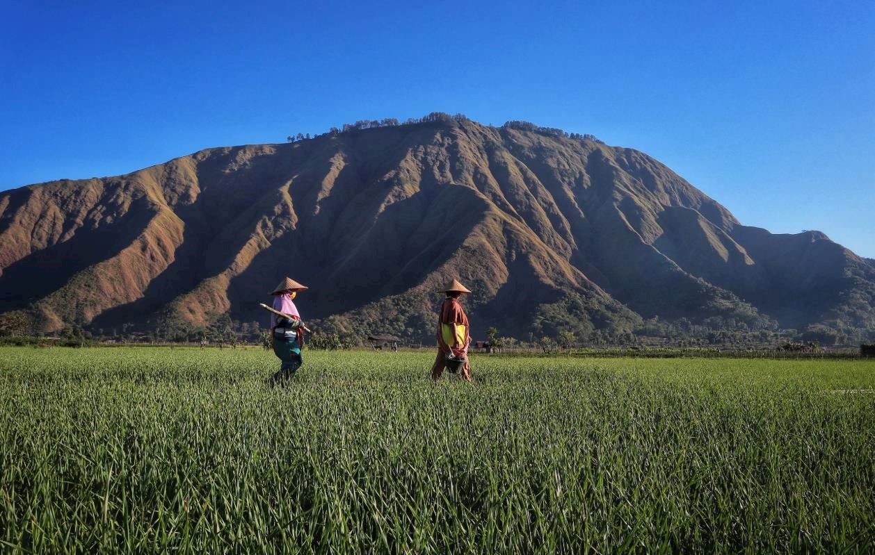 sembalun mountain marathon