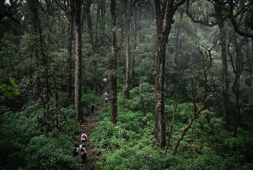 sendero del jaguar hiking retreat