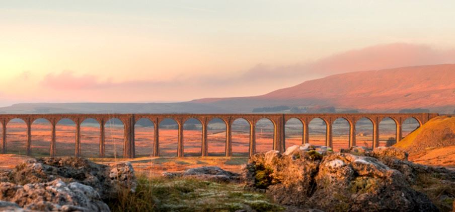 settle 10 mile road race