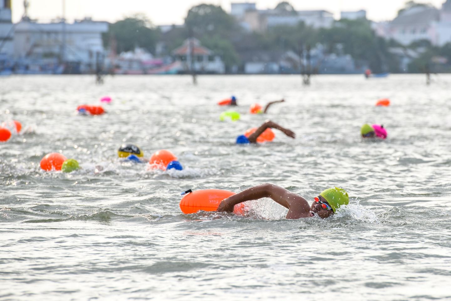 Singora Lake Swim