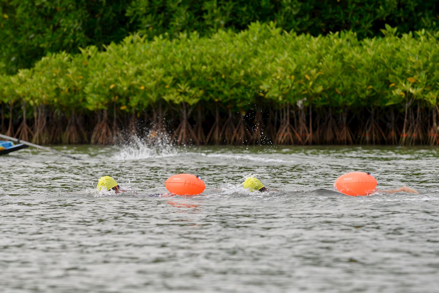 singora lake swim