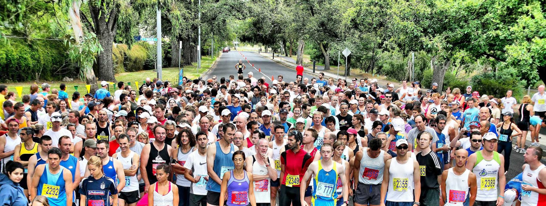 sri chinmoy yarra boulevard half marathon