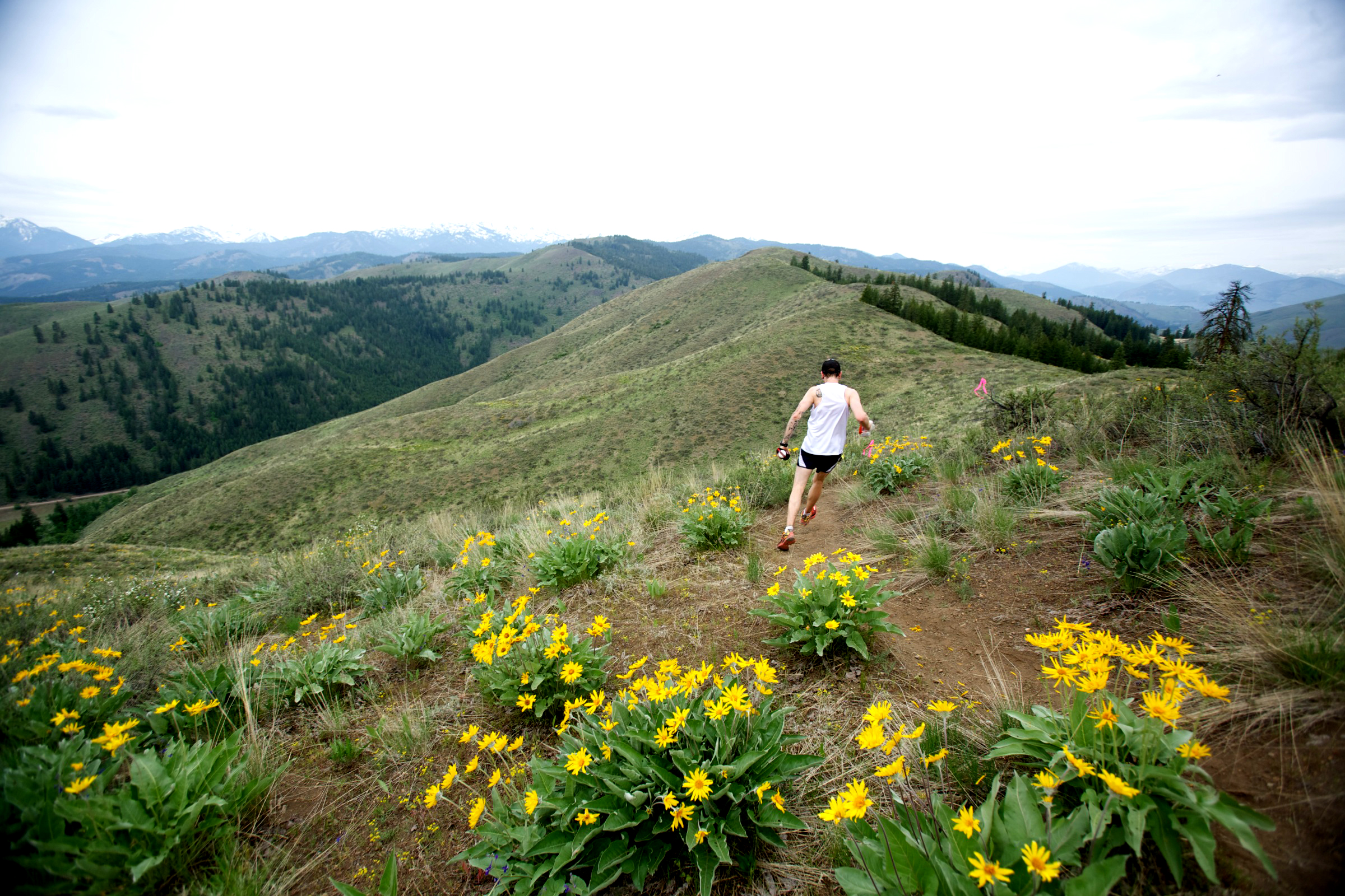 sun mountain 50k