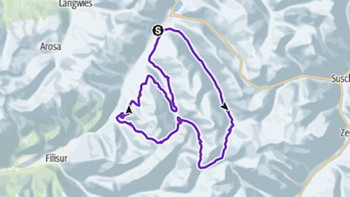 Swissalpine Mappa del percorso