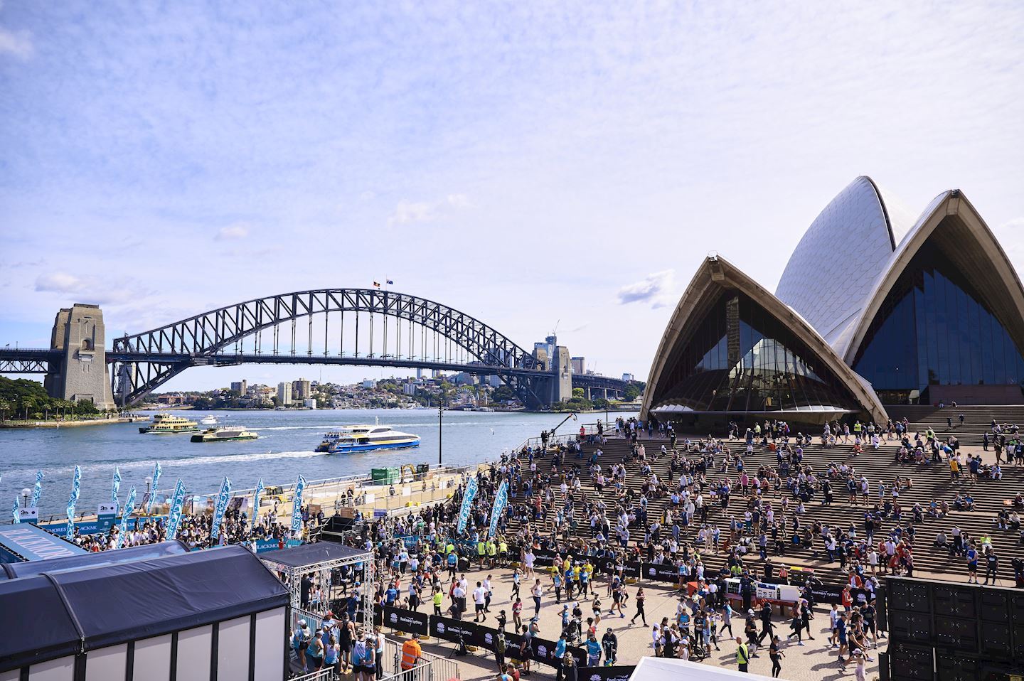 Sydney Marathon Results 2024 - Davita Lavinia