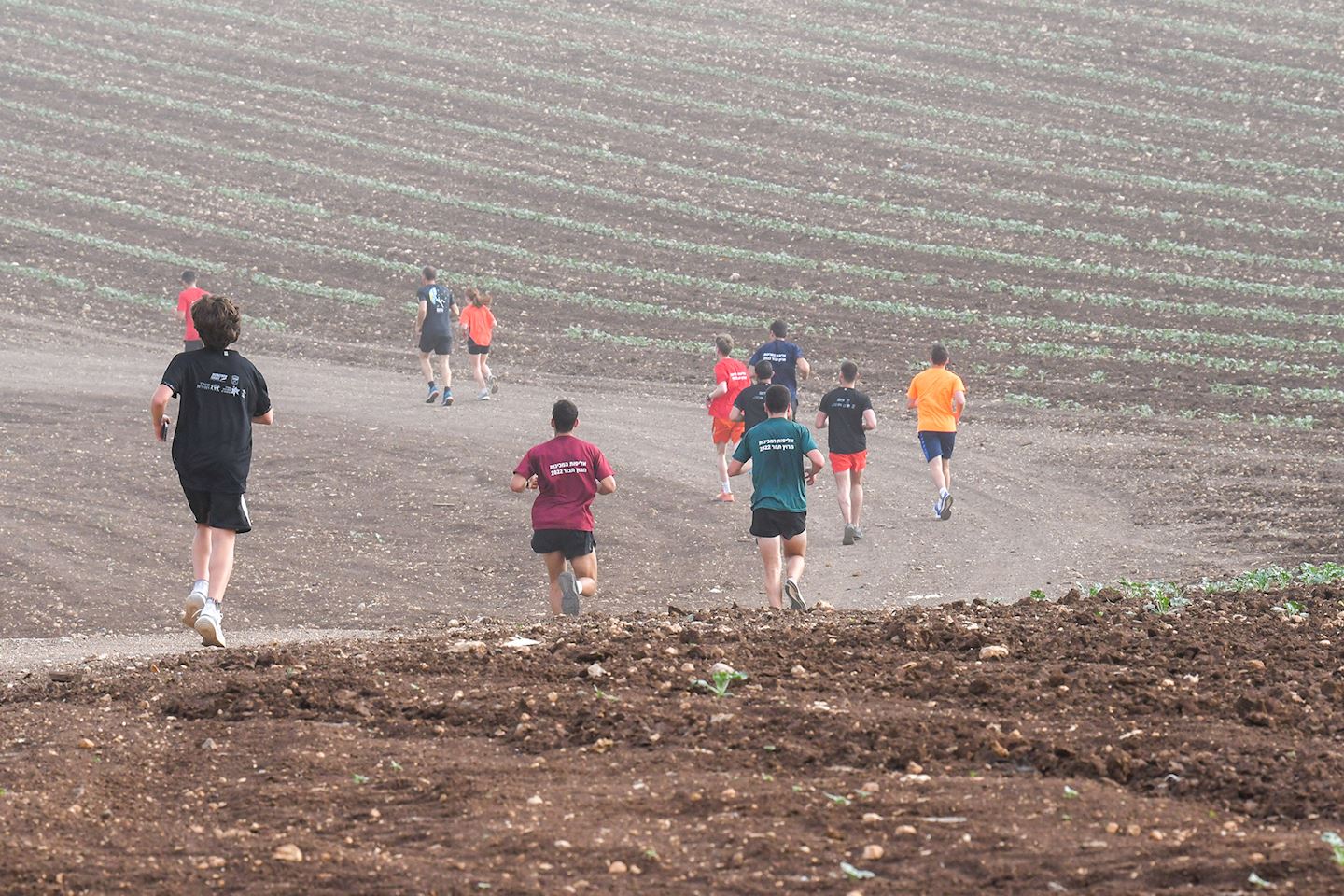 tabor half marathon