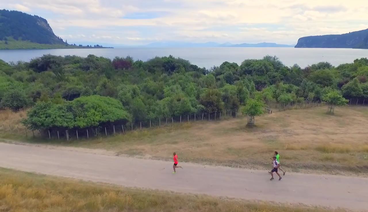 taupo ultramarathon