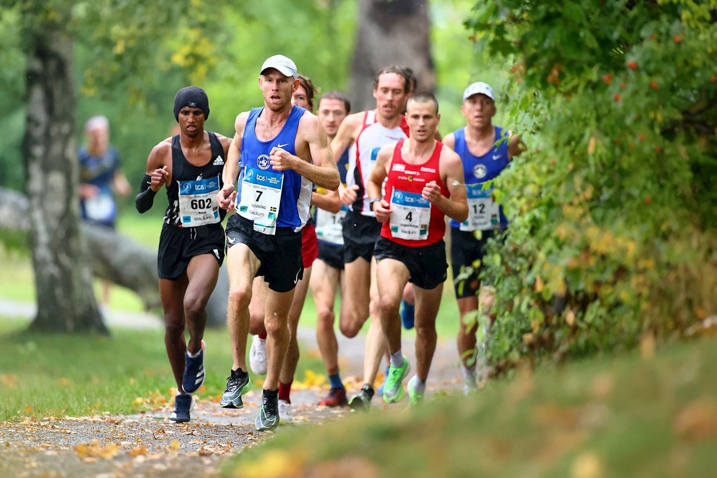 tcs lidingo loppet weekend