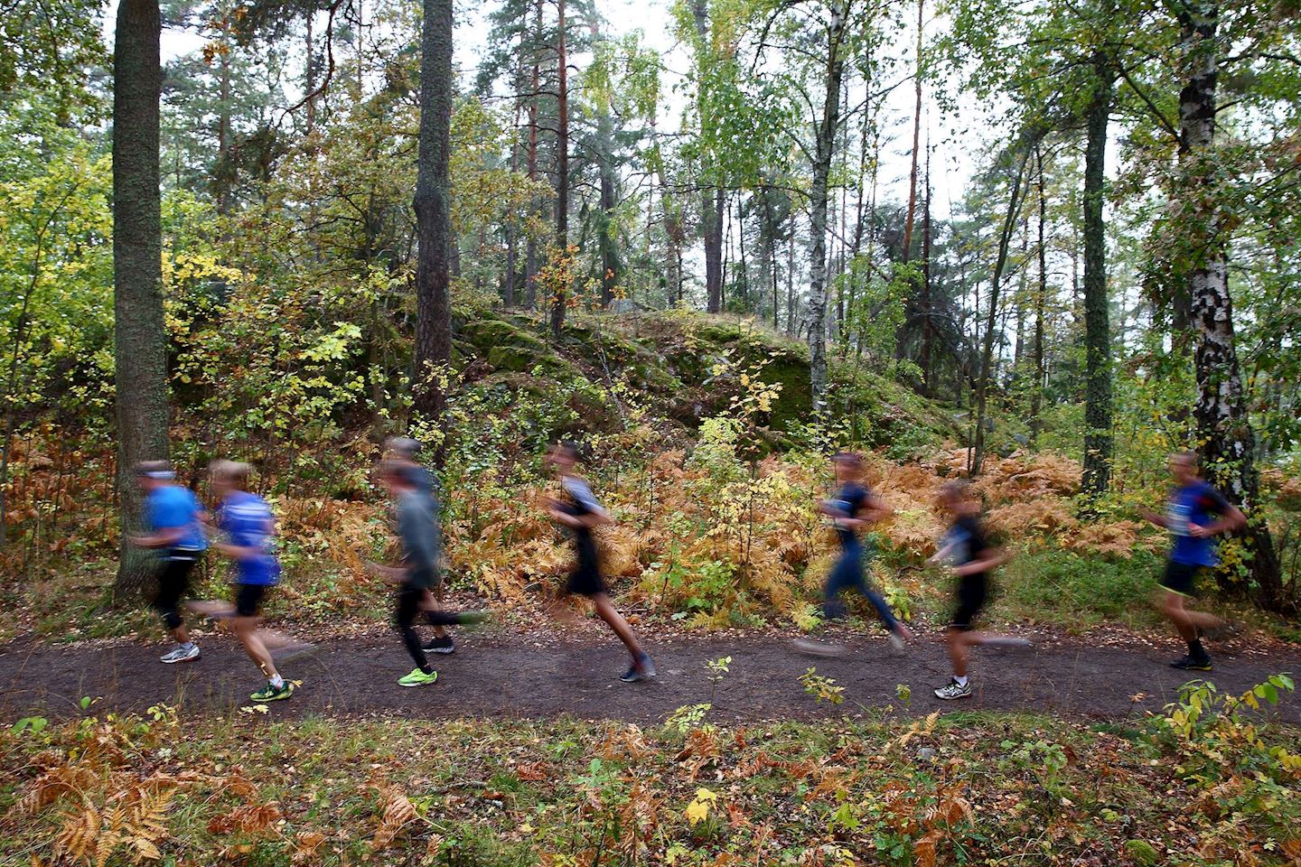 tcs lidingo loppet weekend