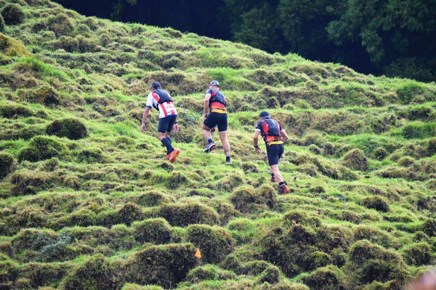 tdm trail dos morcegos