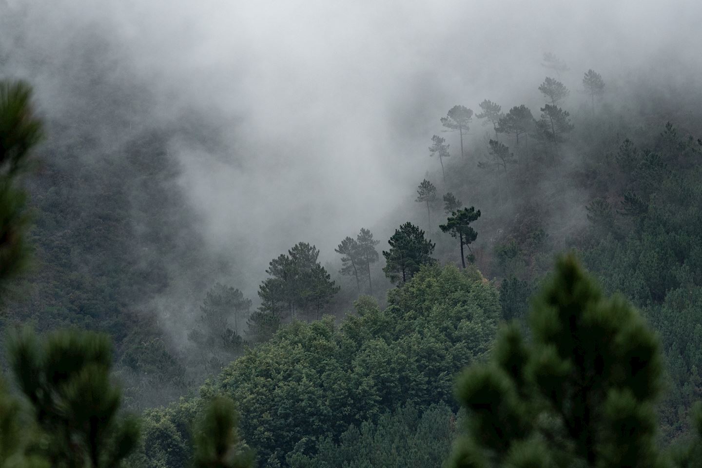 terra de gigantes