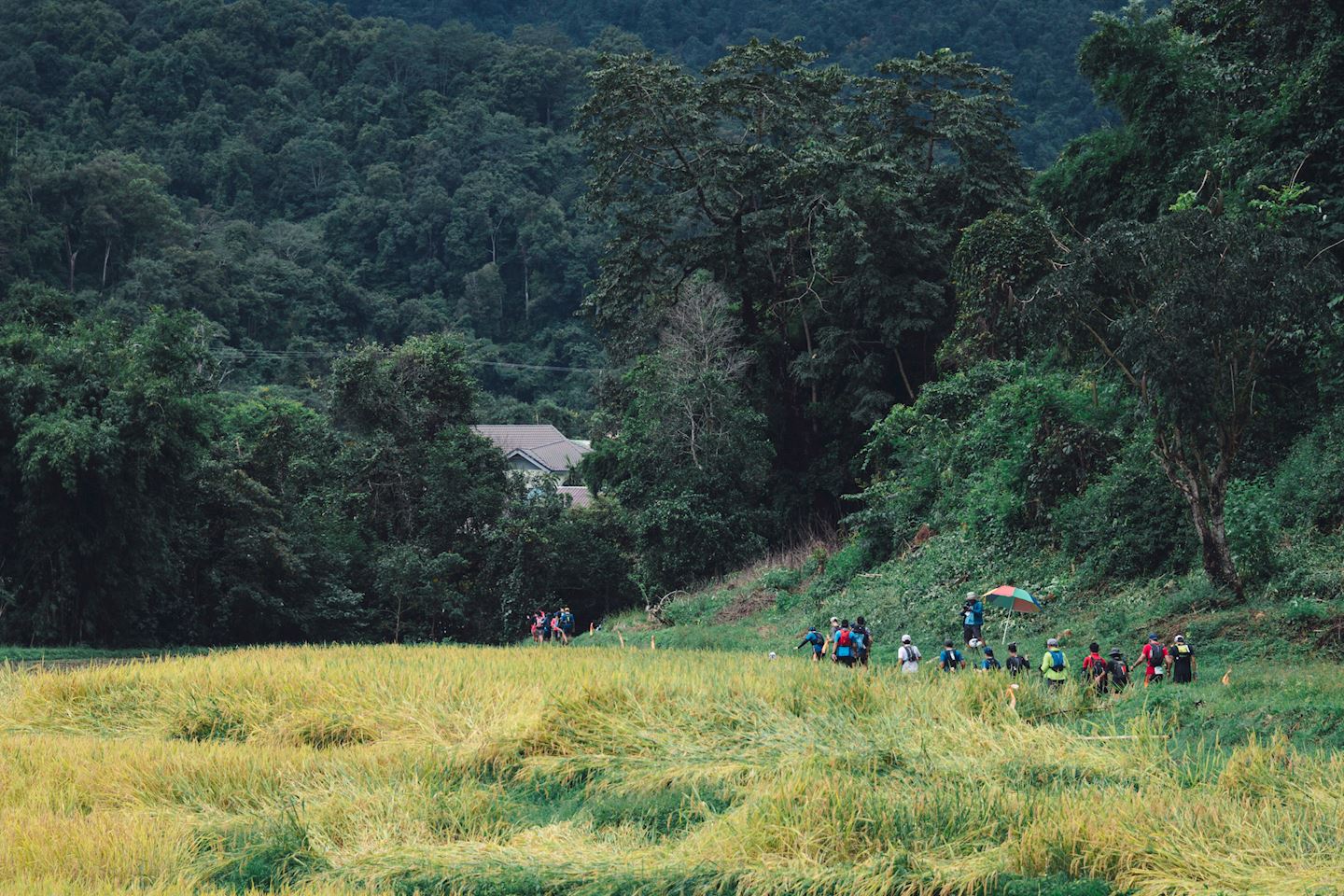 thailand by utmb