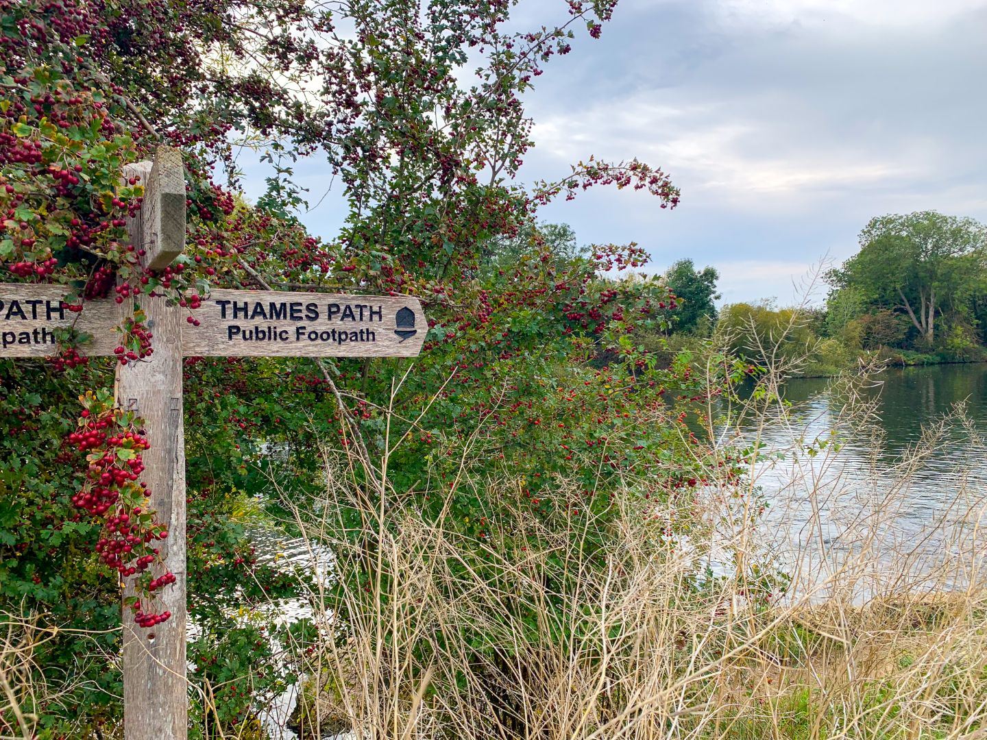 thames path trail windsor