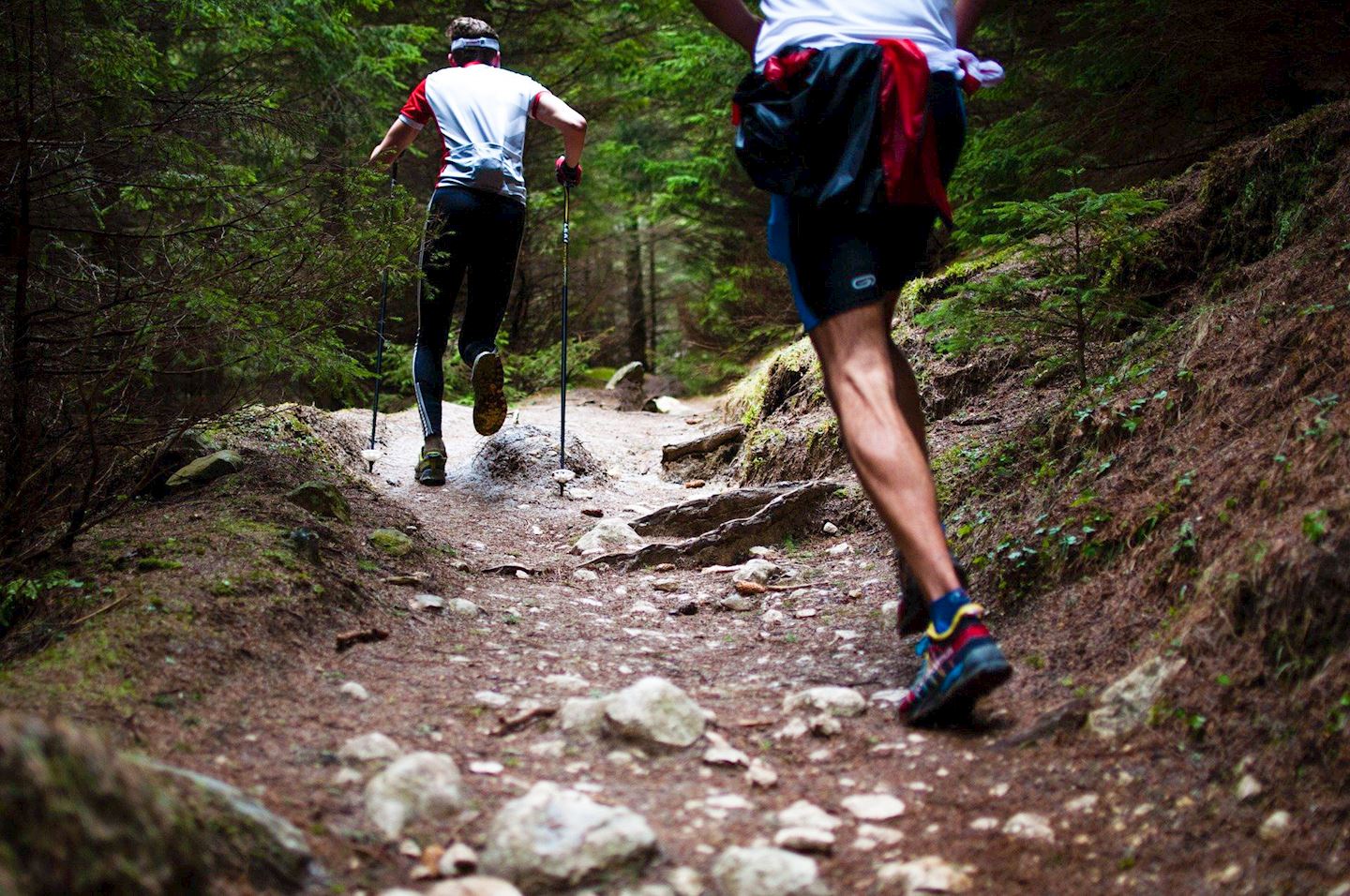 the history ultra 49