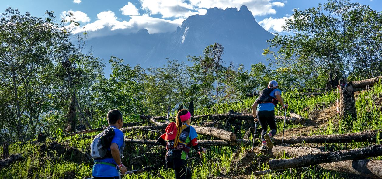 the most beautiful thing ultra trail marathon