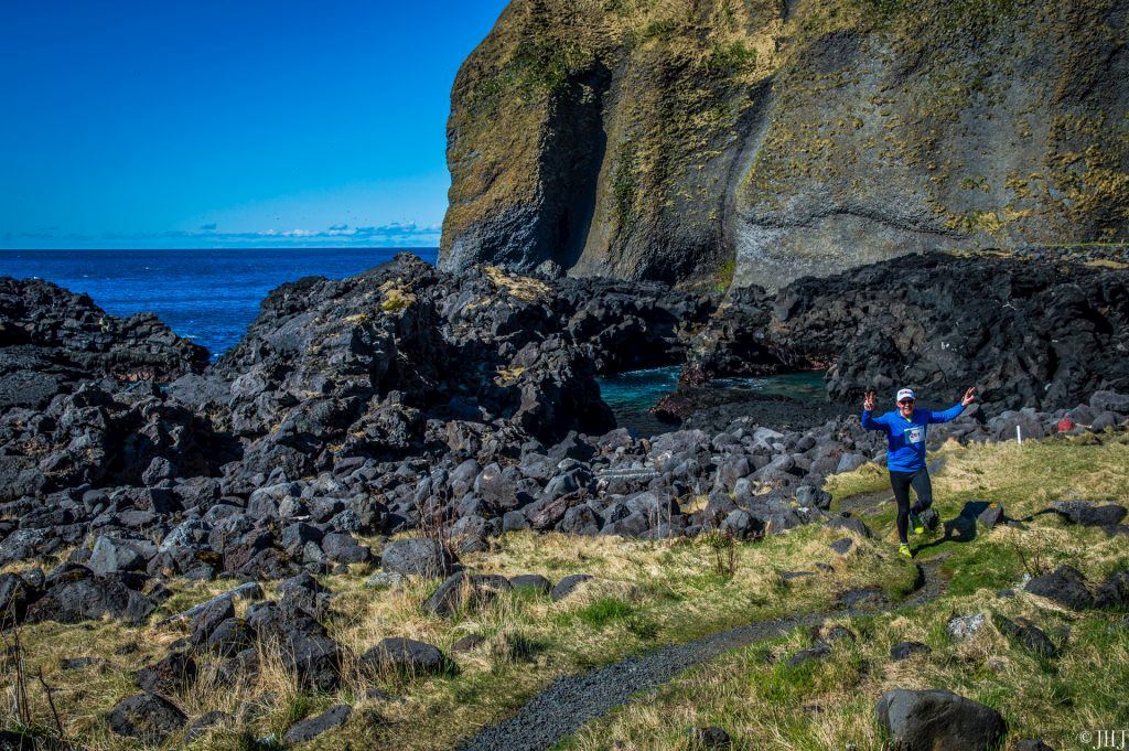 the puffin run