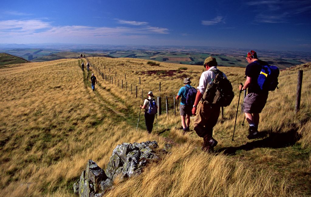 the spine race