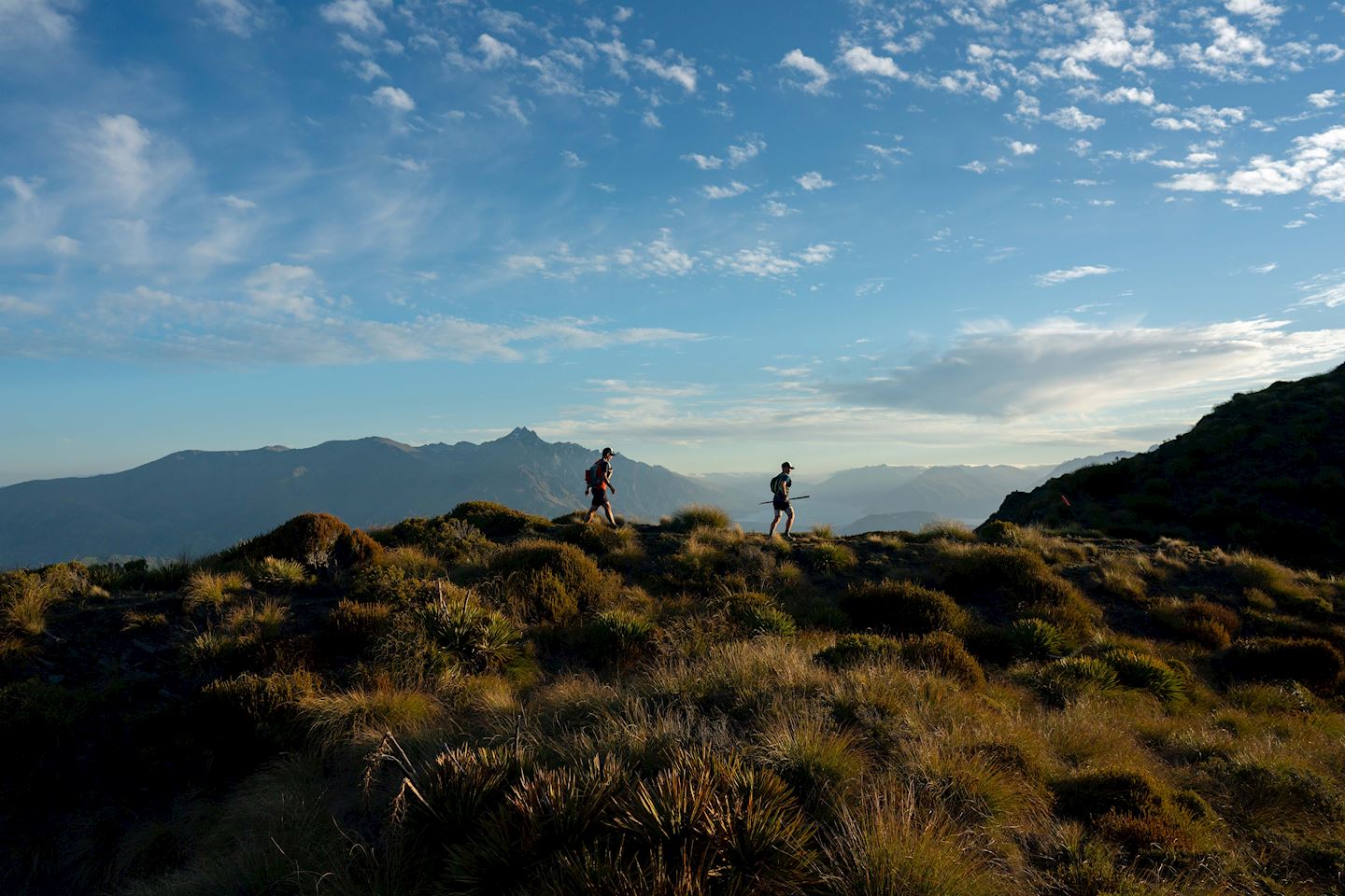 the wild epic mountain runs