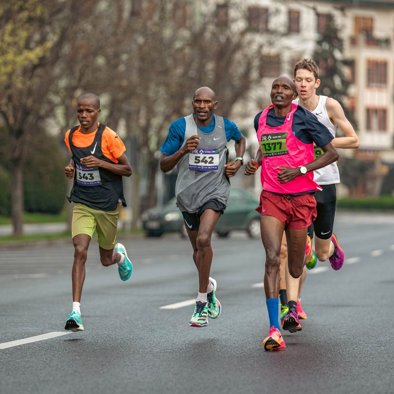 timisoara 21k