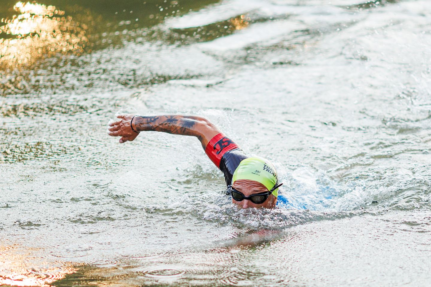 timisoara triathlon